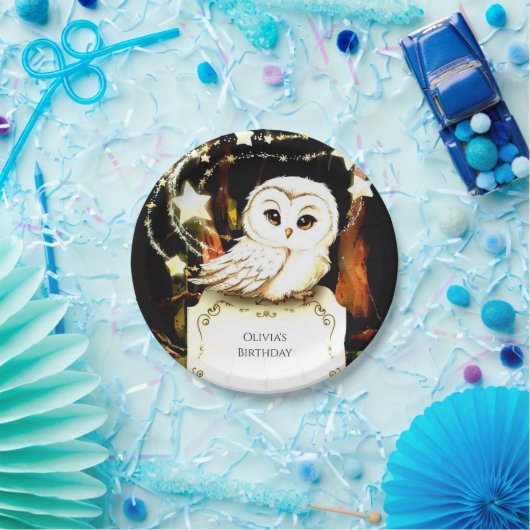 かわいい魅惑フクロウ誕生日 ペーパープレート (パーティー)