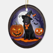 🧙♀️🐶 かわいい魔女ワンコとパンプキンナイト ✨🎃 セラミックオーナメント (左)