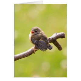 かわいい鳥が夏の日に楽しく歌う