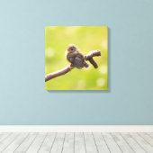 かわいい鳥が夏の日に楽しく歌う キャンバスプリント (インサイチュ (ウッドフロア))