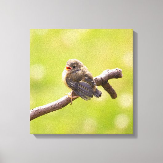 かわいい鳥が夏の日に楽しく歌う キャンバスプリント (正面)