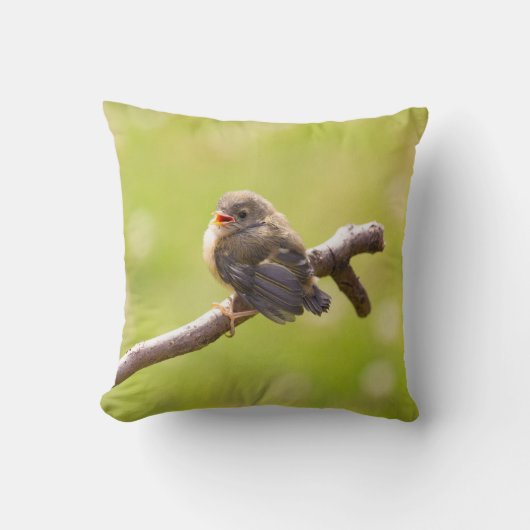 かわいい鳥が夏の日に楽しく歌う クッション (正面)
