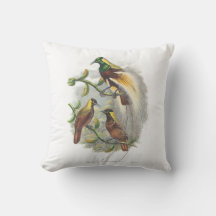 かわいい鳥のクッション