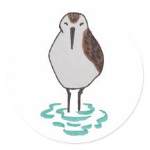 かわいい鳥のスケッチスリーピングサンドパイパー