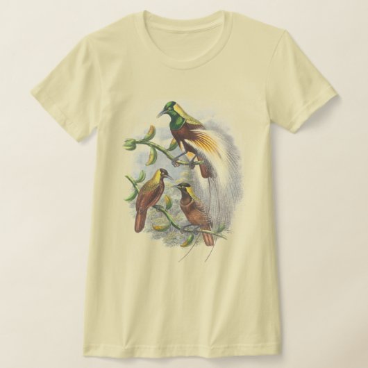 かわいい鳥の女性Tシャツ Tシャツ (レイダウン)