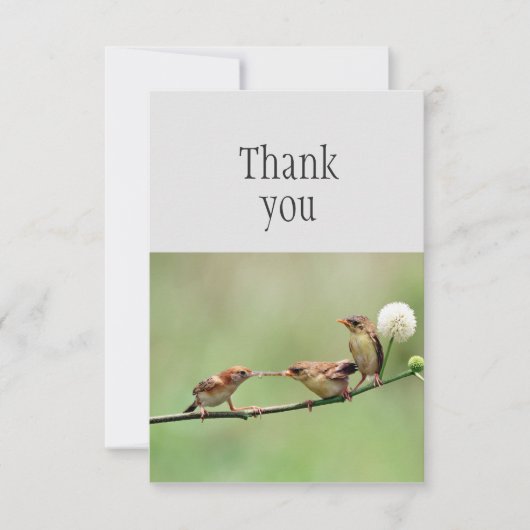 かわいい鳥の親子　ベイビーバードに感謝 サンキューカード (正面)