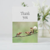 かわいい鳥の親子　ベイビーバードに感謝 サンキューカード (スタンド正面)