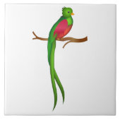 かわいい鳥ケツァル タイル (正面)
