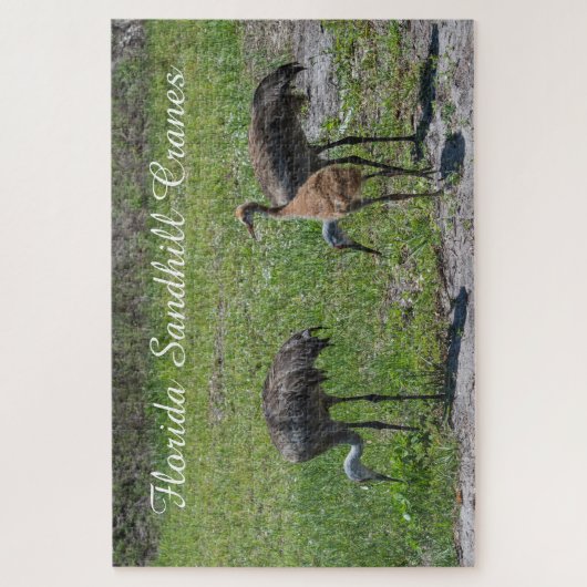 かわいい鳥フロリダサンドヒルクレーン風光明媚な自然 ジグソーパズル (縦)