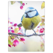 かわいい鳥 クリップボード (裏面)