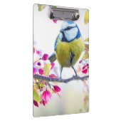 かわいい鳥 クリップボード (右)