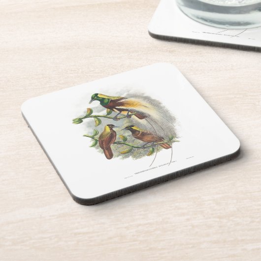 かわいい鳥 コースター (左側)