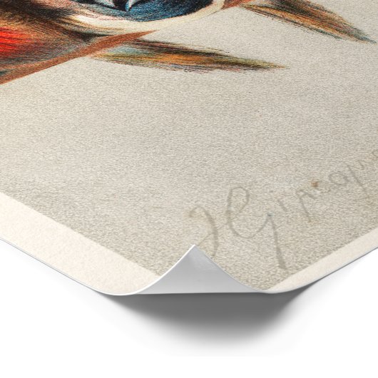 かわいい鳥 ポスター (角)