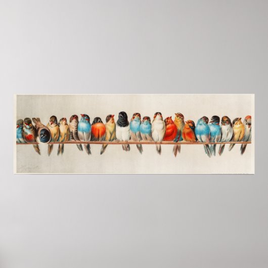 かわいい鳥 ポスター (正面)