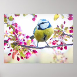 かわいい鳥 ポスター