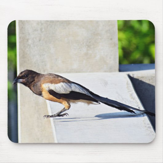 かわいい鳥 マウスパッド (正面)