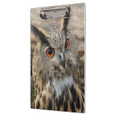 かわいい鷲のフクロウ写真 クリップボード (左)