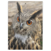 かわいい鷲のフクロウ写真 クリップボード (裏面)