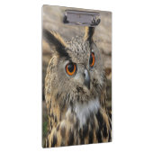 かわいい鷲のフクロウ写真 クリップボード (右)