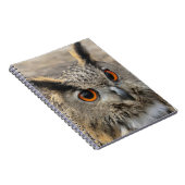 かわいい鷲のフクロウ写真 ノートブック (右側)