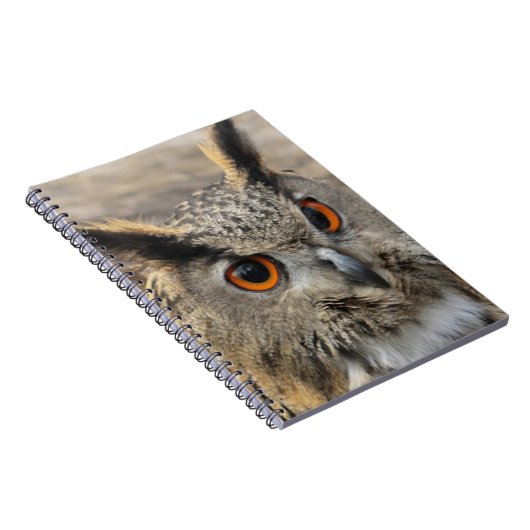 かわいい鷲のフクロウ写真 ノートブック (右側)