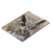 かわいい鷲のフクロウ写真 ノートブック (左側)