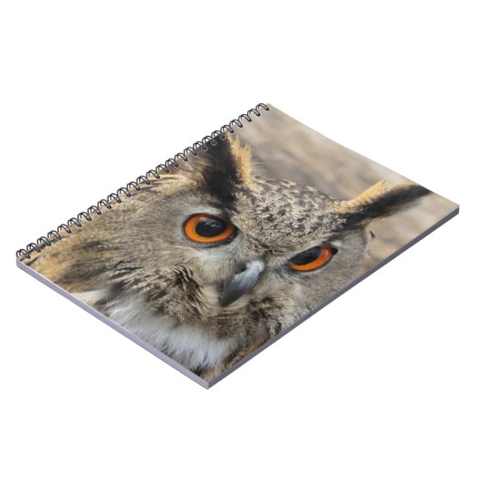 かわいい鷲のフクロウ写真 ノートブック (左側)