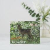かわいい鹿の森の誕生日ポストカード ポストカード (スタンド正面)