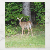 かわいい鹿 ワインラベル (シングルラベル)