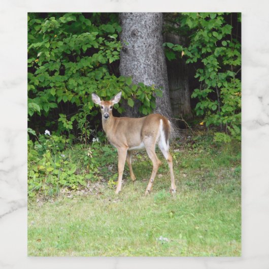 かわいい鹿 ワインラベル (シングルラベル)
