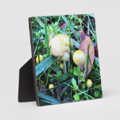 かわいい黄色いキノコ，オレゴン フォトプラーク (正面)