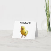 かわいい黄色いフレンドリーインコの鳥の写真 カード (正面)