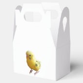 かわいい黄色いフレンドリーインコの鳥の写真 フェイバーボックス (オープン)