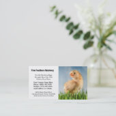 かわいい黄色いベビーの雛の写真 名刺 (スタンド正面)