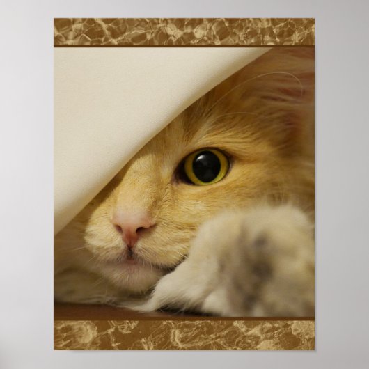 かわいい黄色い子猫ポスター ポスター (正面)