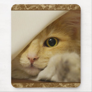 かわいい黄色い子猫マウスパッド マウスパッド