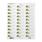 かわいい黄色の野生のジャングル動物ライオンの子供のアドレス ラベル (フルシート)