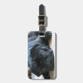 かわいい黒いパグ眠り ラゲッジタグ (正面縦)