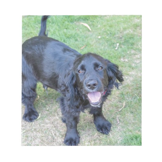 かわいい黒い子犬 ノートパッド (正面)