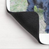 かわいい黒い子犬 マウスパッド (コーナー)