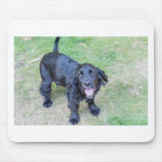 かわいい黒い子犬 マウスパッド (正面)