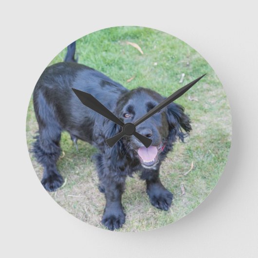 かわいい黒い子犬 ラウンド壁時計 (正面)