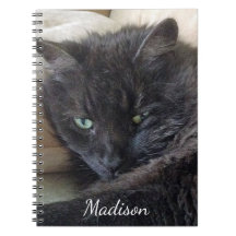 かわいい黒い猫の写真パーソナライズされた名