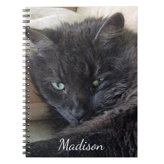 かわいい黒い猫の写真パーソナライズされた名 ノートブック (正面)