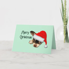 かわいい黒とタンチワホアサンタハットクリスマス カード