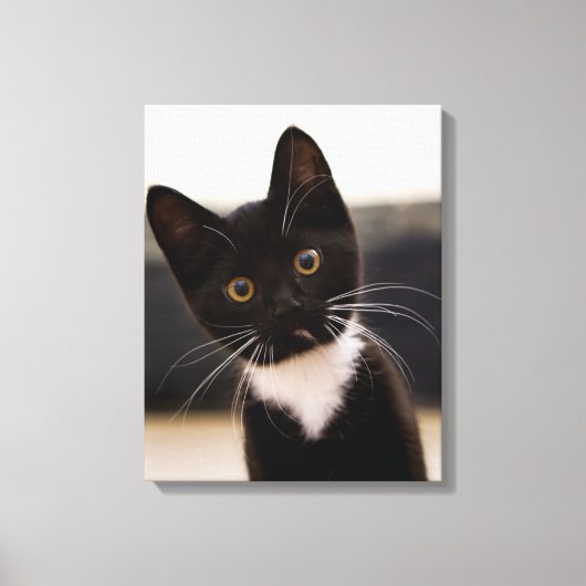 かわいい黒と白のタキシード子猫 キャンバスプリント (正面)