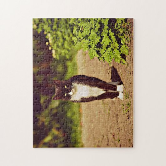 かわいい黒と白のタキシード猫の写真 ジグソーパズル (縦)