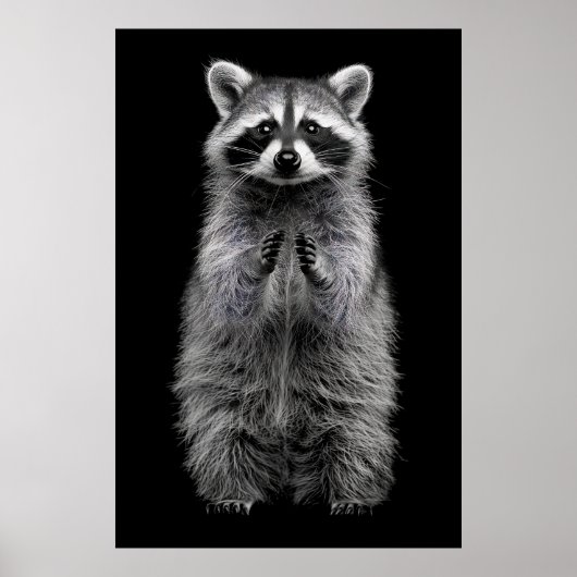 かわいい黒と白のラクーン立ちポスター ポスター (正面)