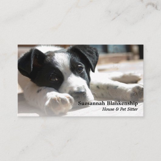 かわいい黒と白の子犬の入れ替え写真 名刺 (正面)