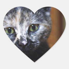 かわいい黒と白の子猫 ハートシール